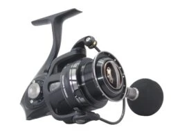 Abu Roxani Spin Reels