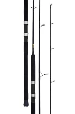 Shimano Shop 35 Daiwa 22 BG Bluewater Graphite Rods