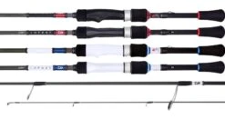 Daiwa Infeet 2020 Graphite Rods