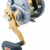 Daiwa Saltist LW Overhead Reel Clearance -Shimano Shop Daiwa Saltist Overhead LW HA reels Freddys 8bff23b6 a4cc 4e44 a18d e00175836fcd