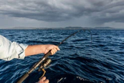 Penn Slammer Graphite Rods -Shimano Shop PennSlammerGraphiteRods17 Freddys