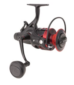 Penn Fierce IV Live Liner Spin Reels -Shimano Shop Penn Fierce IV Live Liner Spin Reels 6000 Freddys