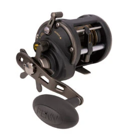 Penn Squall II Level Wind Reels -Shimano Shop Penn Squall II Level Wind Reels 20 Freddys