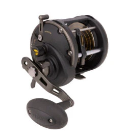 Penn Squall II Level Wind Reels -Shimano Shop Penn Squall II Level Wind Reels 50 Freddys
