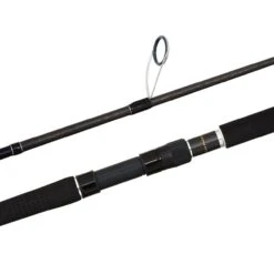 Shimano Anthem SW 2020 Graphite Rods